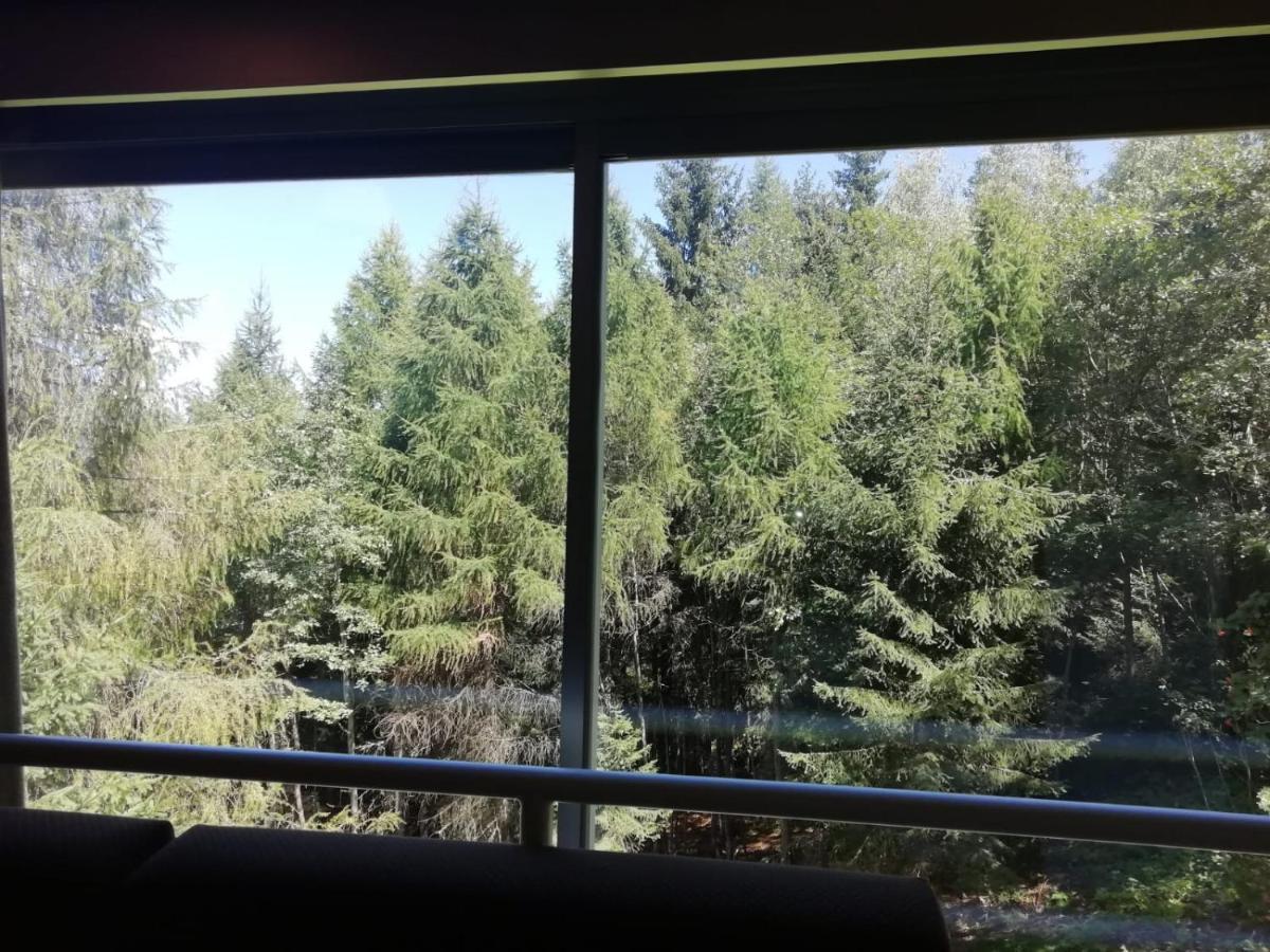 Finestra Sul Bosco - Monolocale Marilleva 1400 Apartment Екстериор снимка